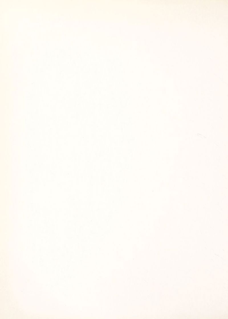 r- V t % ■4* 1 #- i ^ * ' * '* t 1 L M *■ t 1^: -F / • s \ I V X f J » •( I T * >.llif: -F V < a- < V \ • & * •