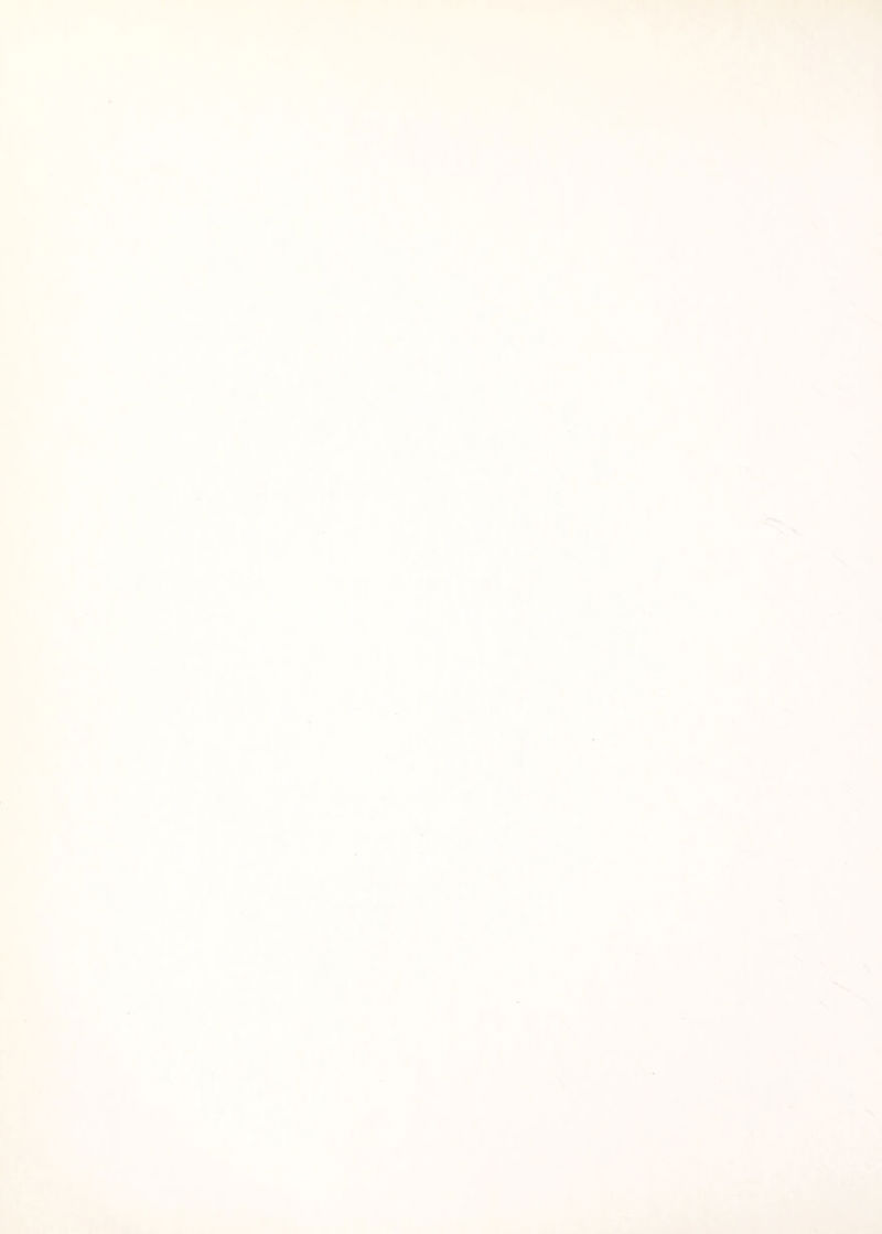 1 \ •i ( i f f - Vi^ y r> N r ii s. it 4 V X » ;y S'* >4 ^ •*■1 $ <•1 /