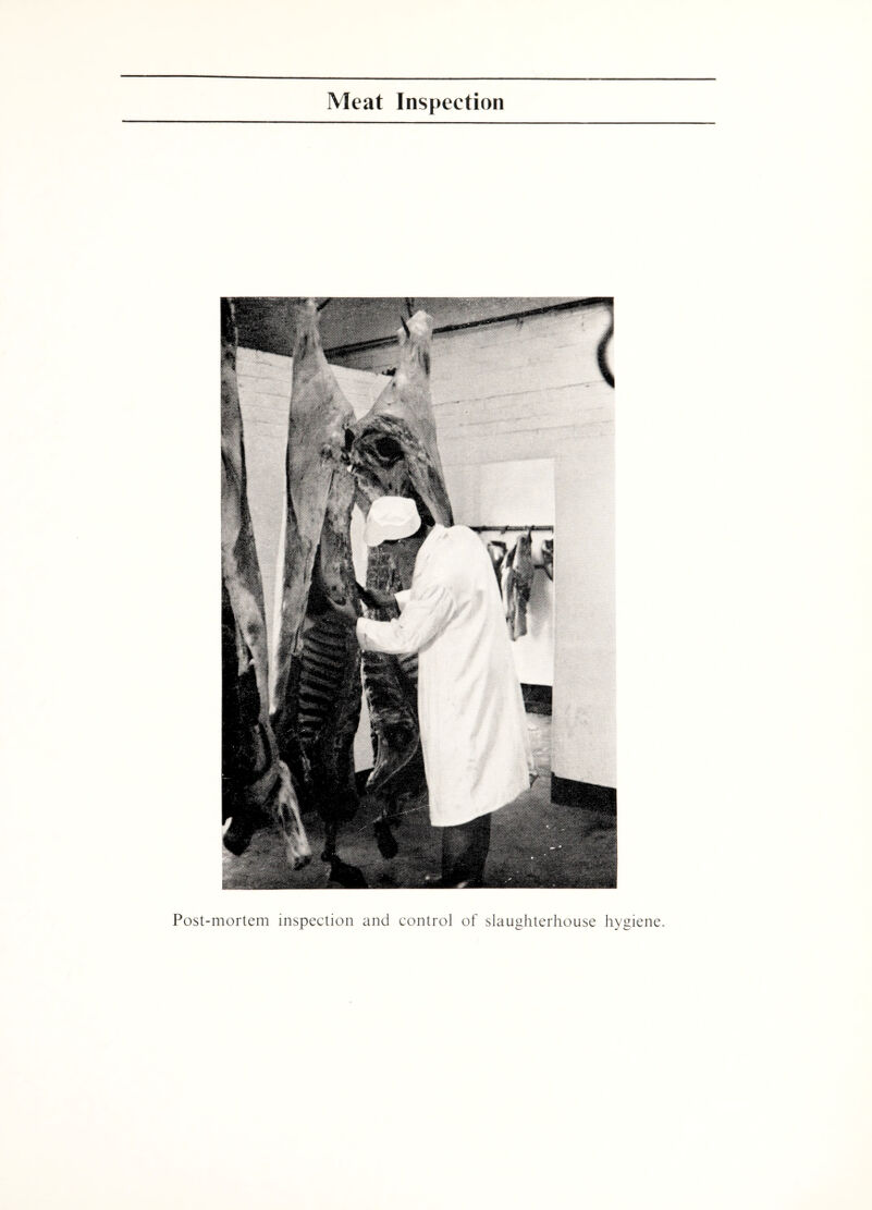 Meat Inspection Post-mortem inspection and control of slaughterhouse hygiene.