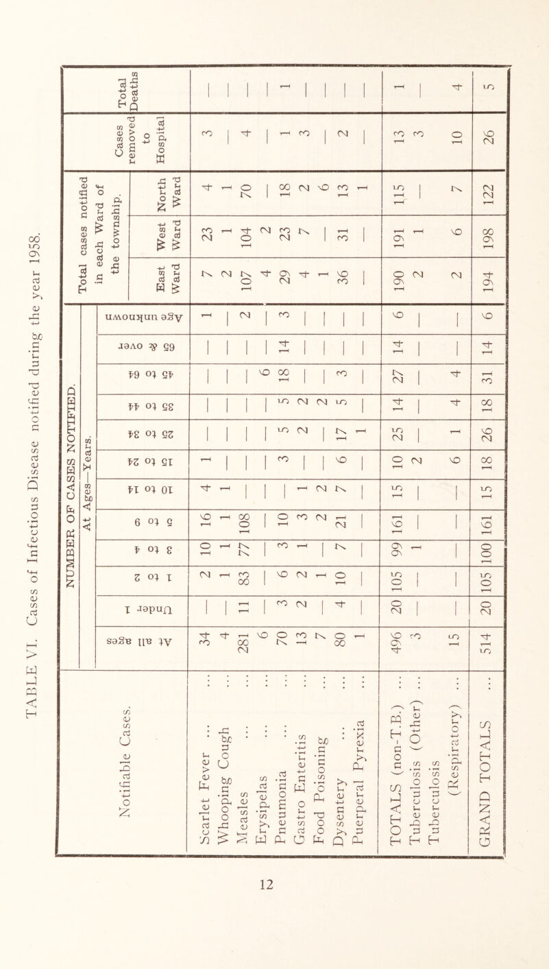 TABLE VI. Cases of Infectious Disease notified during the year 1958.
