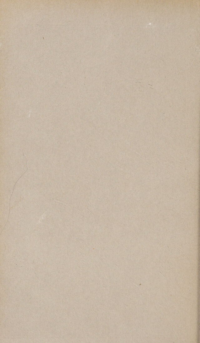 digitised image 2