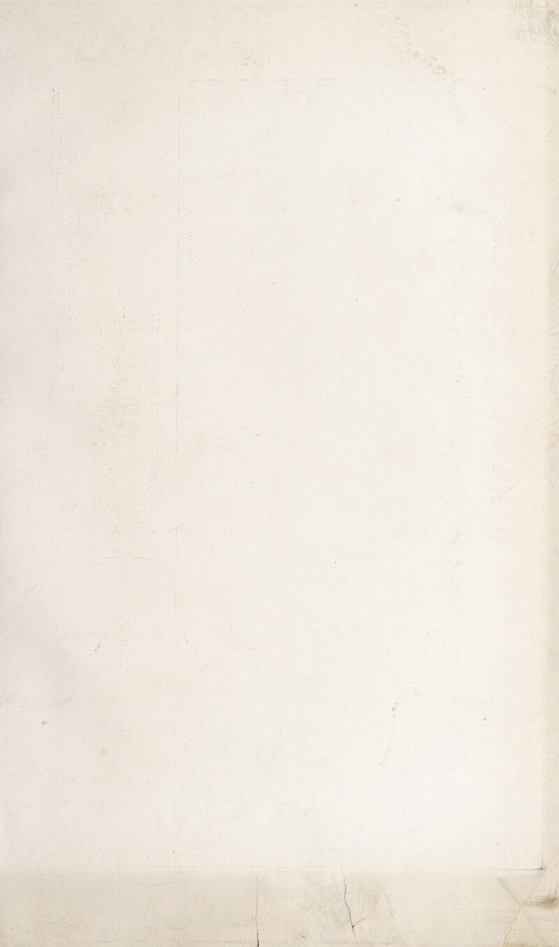 -I* • ■ ..... . . *. .; ; • !■> •! r, < ’ . . -• -v - • > * u ■ r - ■ . ■■■ ' : >:••• ■ . * P- ’ . r - .. i i