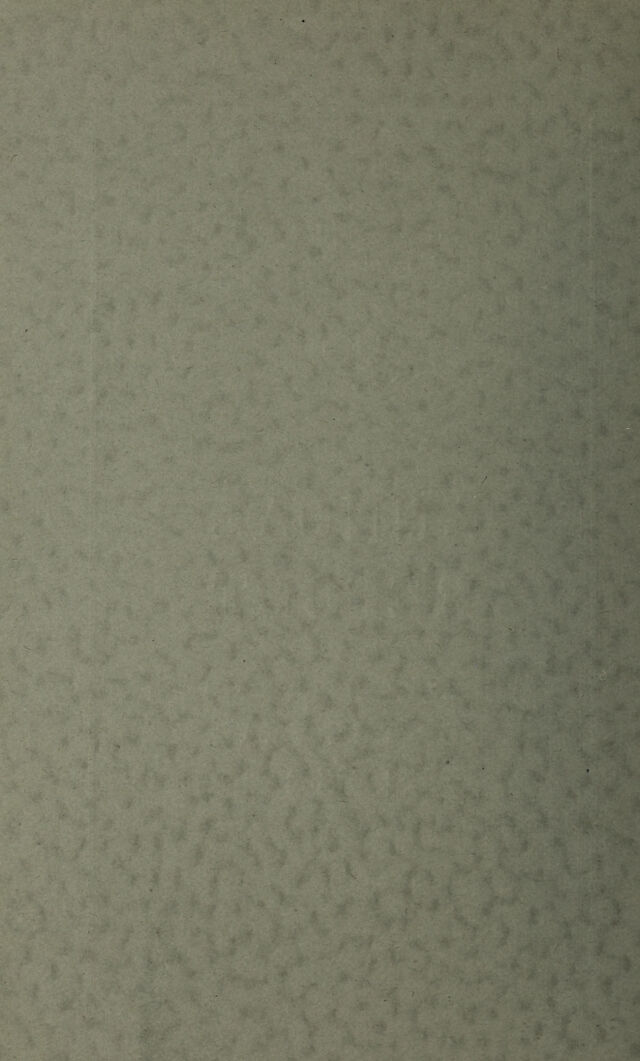 digitised image 2