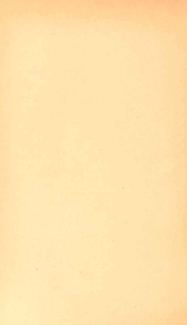 digitised image 2