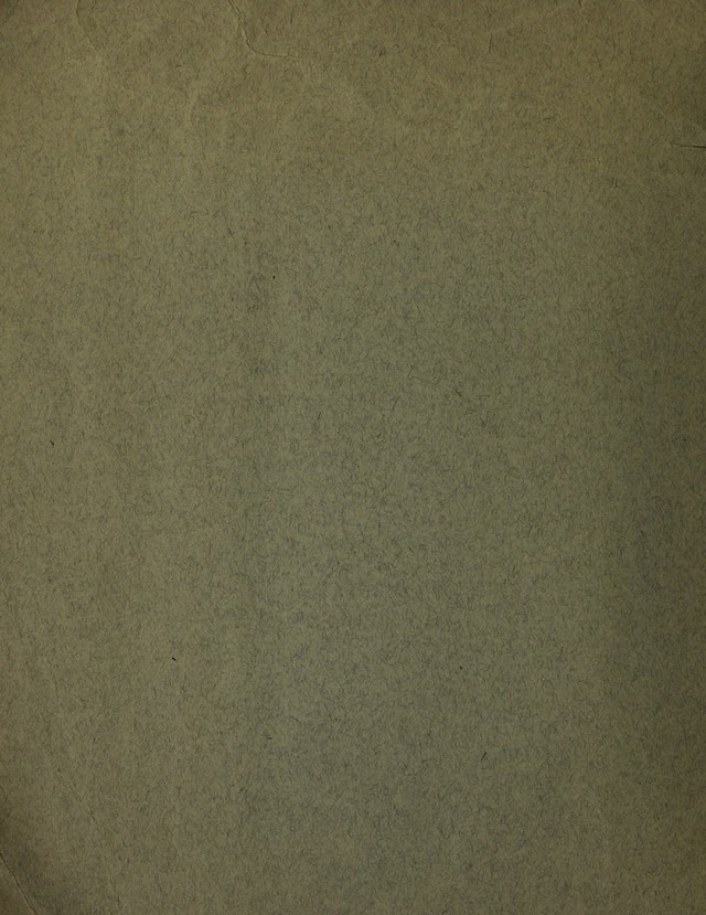 digitised image 2