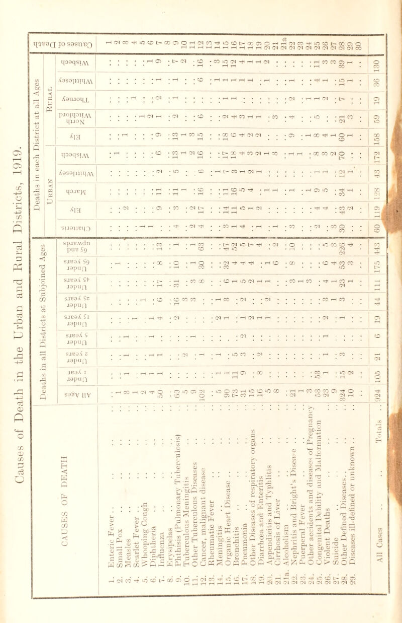 Causes of Death in the Urban and Rural Districts, 1919. q^0Q JO SBSU'BQ HC<lC0Tjn0C0t>C0C5OHi,McrjTtu0OL'CCC5CHH?NW’fi0OL''C0Cs-O ipaqsiM • r-H O • fc- (M • CD • T—( •COOCM-f^T—!»—(CM • T—H r—( • • rH • • r-H CO CO O H CO o CO .<asapipiA\ • • r-H1 • rH • • r~H t—H rH rH t—H • r—1 • • r—I • • -m 1 15 1 CD XaujoqjL • • • -H • • CM : CM • t- • : 05 <D be < i < ^3 o c A H-H c3 sjtjaX £9 japiiQ ■ - • X ox . r-H O • X • CM hH Tti • rH O • X • Of; • • • CD ~v X X >D t— sj^aA St japun • L» X • X X • CD r-H lO CM r-H rH • X r-H X ■ -*H rH X r-H <M 3 SJEaX £z japun SJEaX Si japun SJE3.S S aapun SJE9A Z japun aeaX 1 •lapufl saSy UV »0 • w OiOwl'N o ; X r- u0 CD *0 X t»COHH X X 03 ■*? O lO CM 'Mr-! 0 £ 1 “H o - o -> . -D t/3 -*p> • — m W cn o c £ o 3 W • o ! O m ^ .jfi $ c-'§p£ ^ cS .p ^ ~ “ 3 3 Sb, QJ -  o ^ r/j ^ ^ QJ Ph Q-i £ K c3 o cS 0) bC c :r; i- .3 S -5 cfl ■—1 C/3 <D C£ H * - *-> Qj a 5F.S.I3 £ g P O a v1: ^ cz:: -53 r-~ p -5 s ri — r—i —• -*-=» C3 i 03 CO -* i EH C L- 03 3 6 o l h u u o <13 Q o ~ .x«?£ O 2 O « ~ C o Z £ 3 C »• P- o P. < a < ^ p- o o 3 so “ 5 C .2 i !M o: -t ‘C CD L- X O'. -r ‘-7 X CM CM CM P O O r- • ^ £ r- a w “O ,5 “ i O 3 2 S •— P3 V3 p .t-J i- X c: CM CM CM CM lO a / O