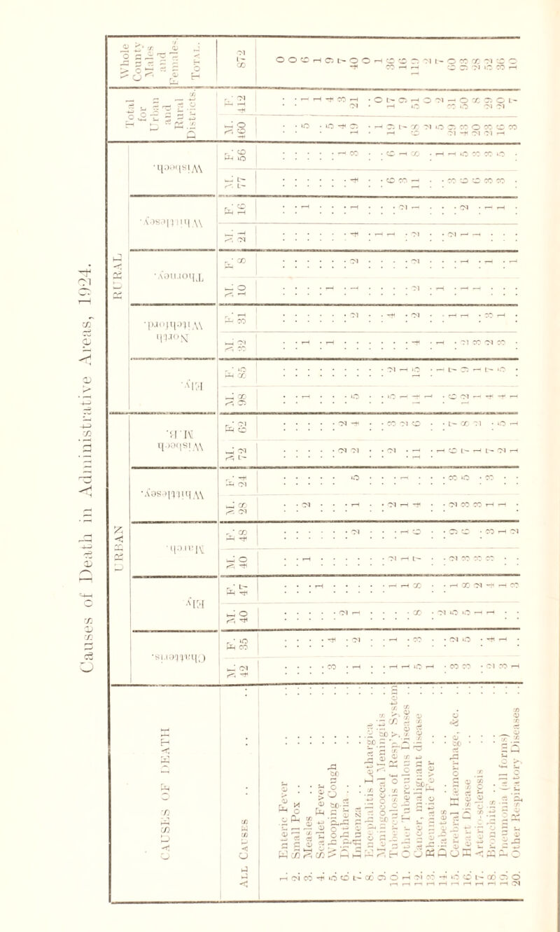 Causes of Death in Administrative Areas, 10-24.