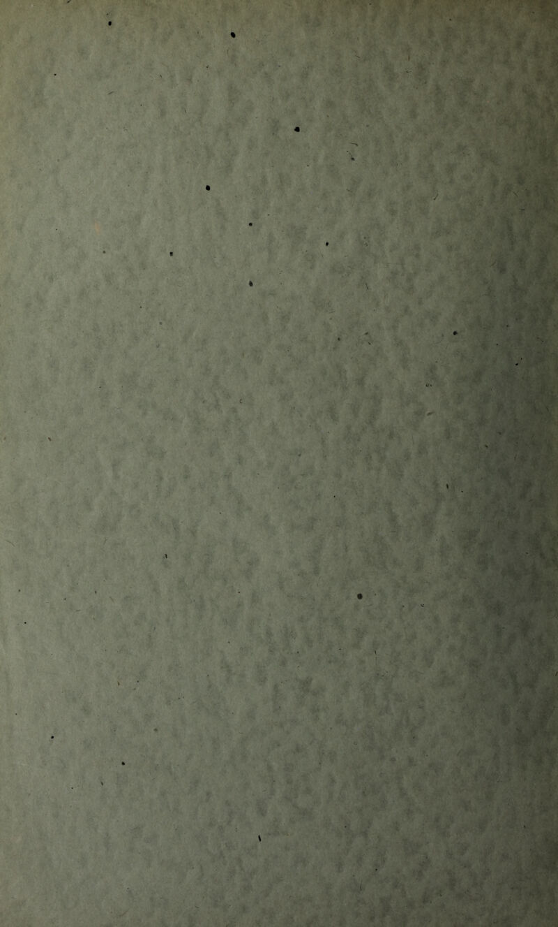 c t 4 * ✓ t gel It ■ ■ # /, / r?~v