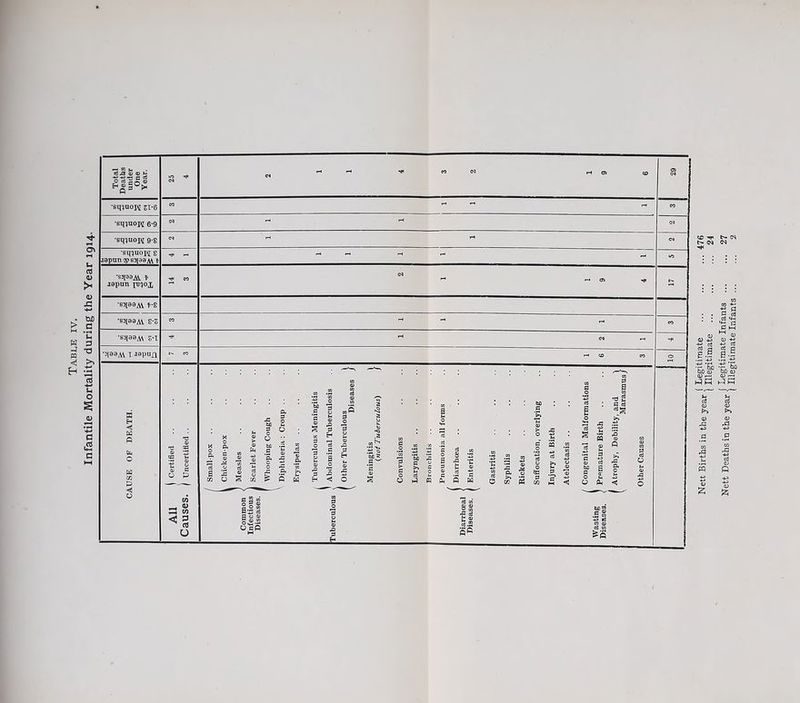 Nett Births in the year | I^gitirnatc ... ... ... 476 J i TllPQTi+.i'mafo OA