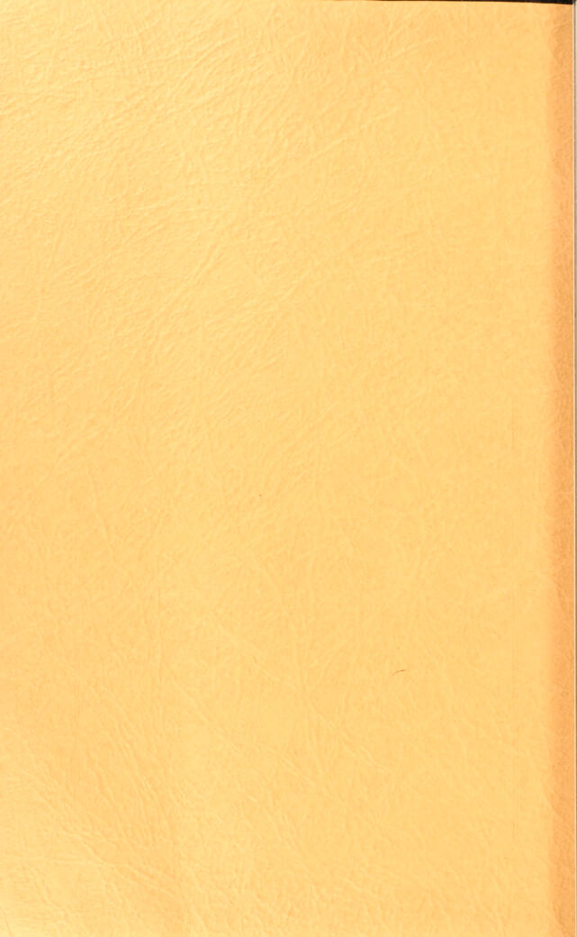 digitised image 2