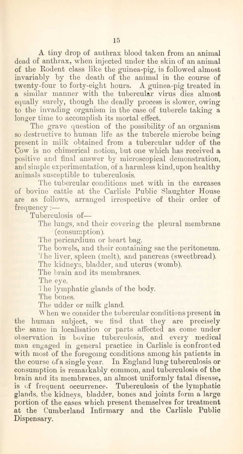A tiny drop of anthrax blood taken from an animal dead of anthrax, when injected under the skin of an animal of the Rodent class like the guinea-pig, is followed almost invariably by the death of the animal in the course of twenty-four to forty-eight hours. A guinea-pig treated in a similar manner with the tubercular virus dies almost equally surely, though the deadly process is slower, owing to the invading organism in the case of tubercle taking a longer time to accomplish its mortal effect. The grave question of the possibility of an organism so destructive to human life as the tubercle microbe being present in milk obtained from a tubercular udder of the Cow is no chimerical notion, but one which has received a positive and final answer by microscopical demonstration, and simple experimentation, of a harmless kind,upon healthy animals susceptible to tuberculosis. The tubercular conditions met with in the carcases of bovine cattle at the Carlisle Public Slaughter House are as follows, arranged irrespective of their order of frequency :— Tuberculosis of— The lungs, and their covering the pleural membrane (consumption). The pericardium or heart bag. The bowels, and their containing sac the peritoneum. The liver, spleen (melt), and pancreas (sweetbread). The kidneys, bladder, and uterus (womb). The brain and its membranes. The eye. I he lymphatic glands of the body. The bones. The udder or milk gland. When we consider the tubercular conditions present in the human subject, we find that they are precisely the same in localisation or parts affected as come under observation in bovine tuberculosis, and every medical man engaged in general practice in Carlisle is confronted with most of the foregoing conditions among his patients in the course of a single year. In England lung tuberculosis or consumption is remarkably common, and tuberculosis of the brain and its membranes, an almost uniformly fatal disease, is of frequent occurrence. Tuberculosis of the lymphatic glands, the kidneys, bladder, bones and joints form a large portion of the cases which present themselves for treatment at the Cumberland Infirmary and the Carlisle Public Dispensary.