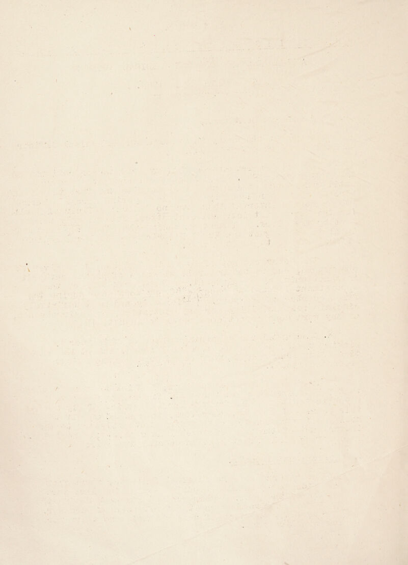 ( \ A A f. \ • ' ' / 7 1 •- \ \ ✓