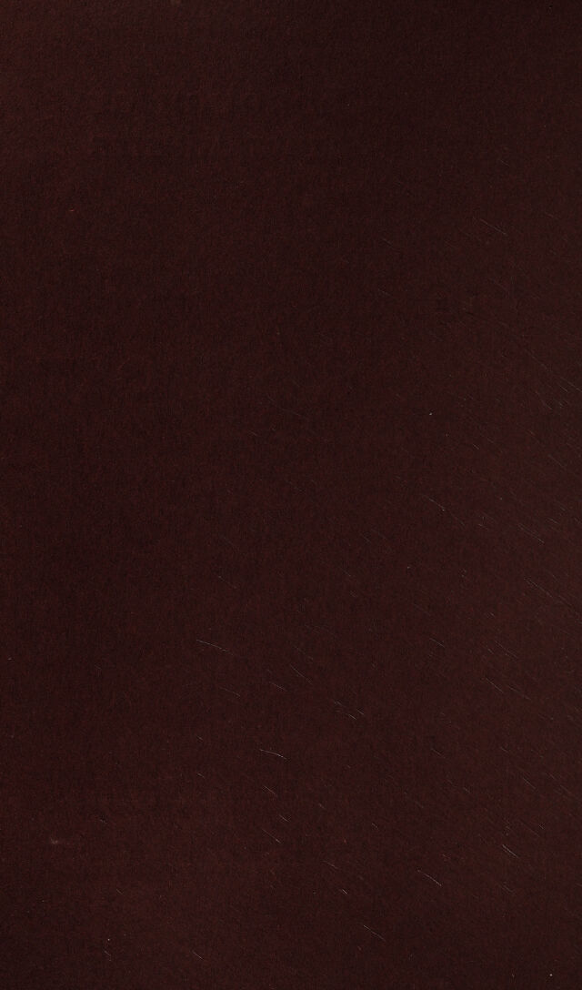digitised image 2