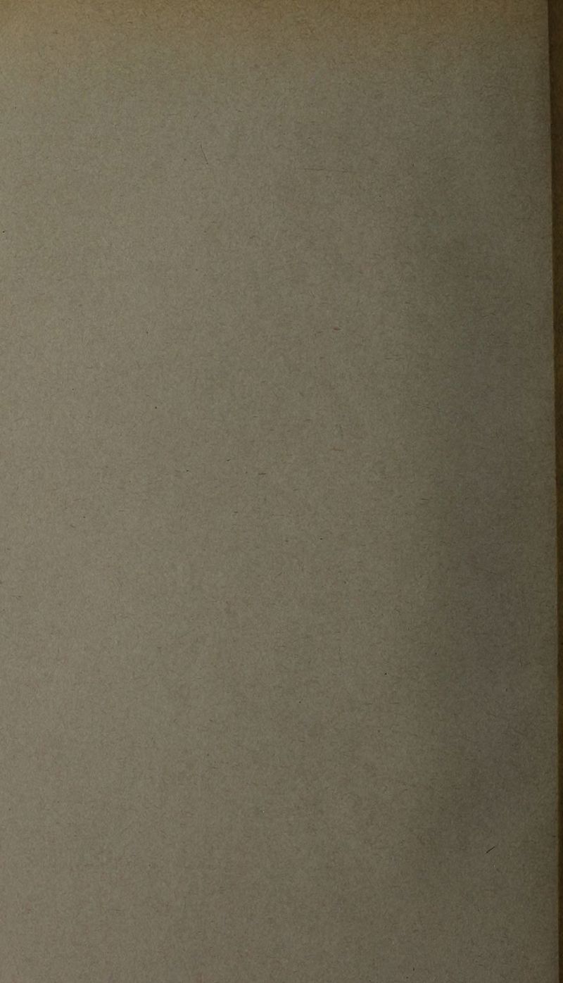 • - '-V ■ r?$jm l I