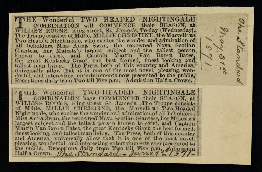[Two newspaper cuttings (31 May 1871 and 1 June 1871) advertising the Wonderful Two-Headed Nightingale at Willis's Rooms, King Street, St James's, London.].