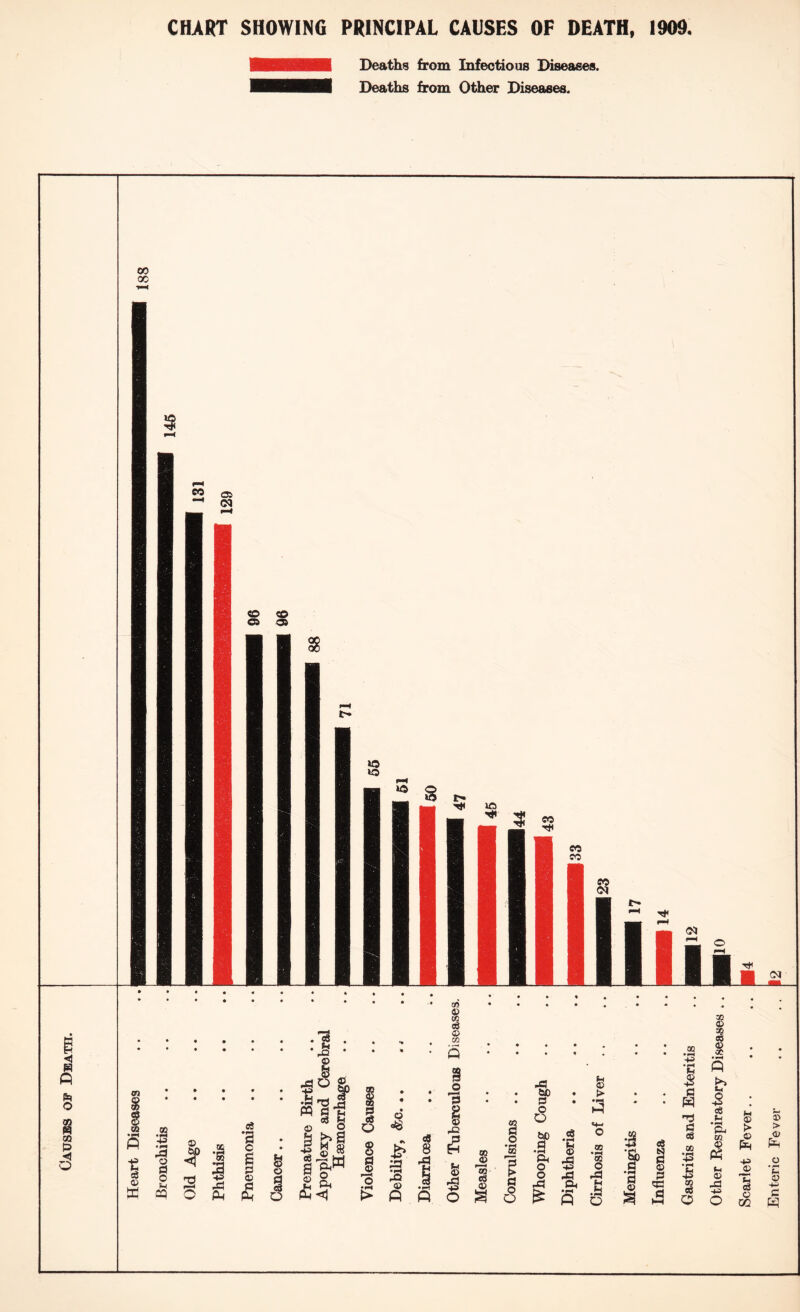 Causes of Death. CHART SHOWING PRINCIPAL CAUSES OF DEATH, 1909 Deaths from Infectious Diseases. Deaths from Other Diseases. Gastritis and Enteritis Other Respiratory Diseases , Scarlet Fever Enteric Fever