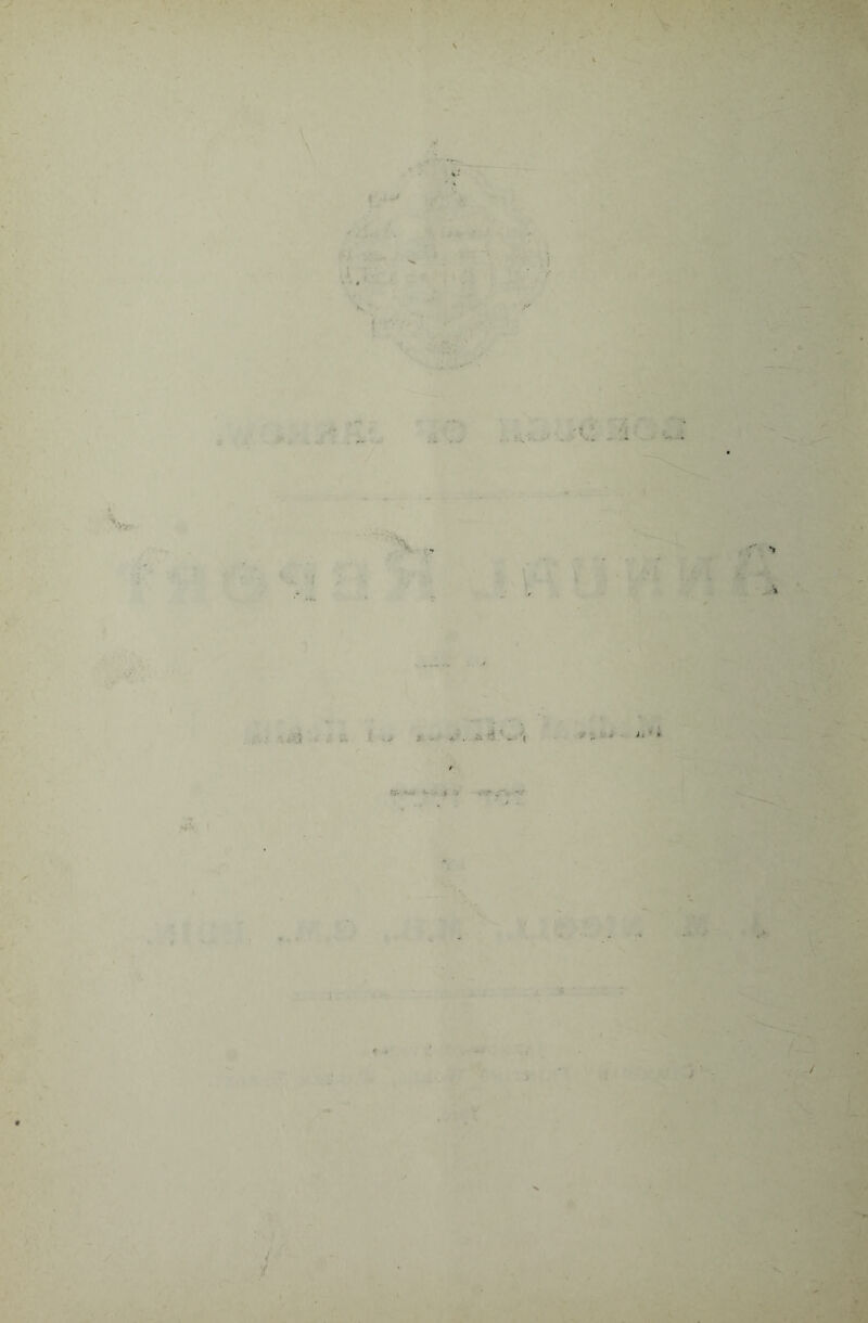 ft-1- -' » 'J J ' /