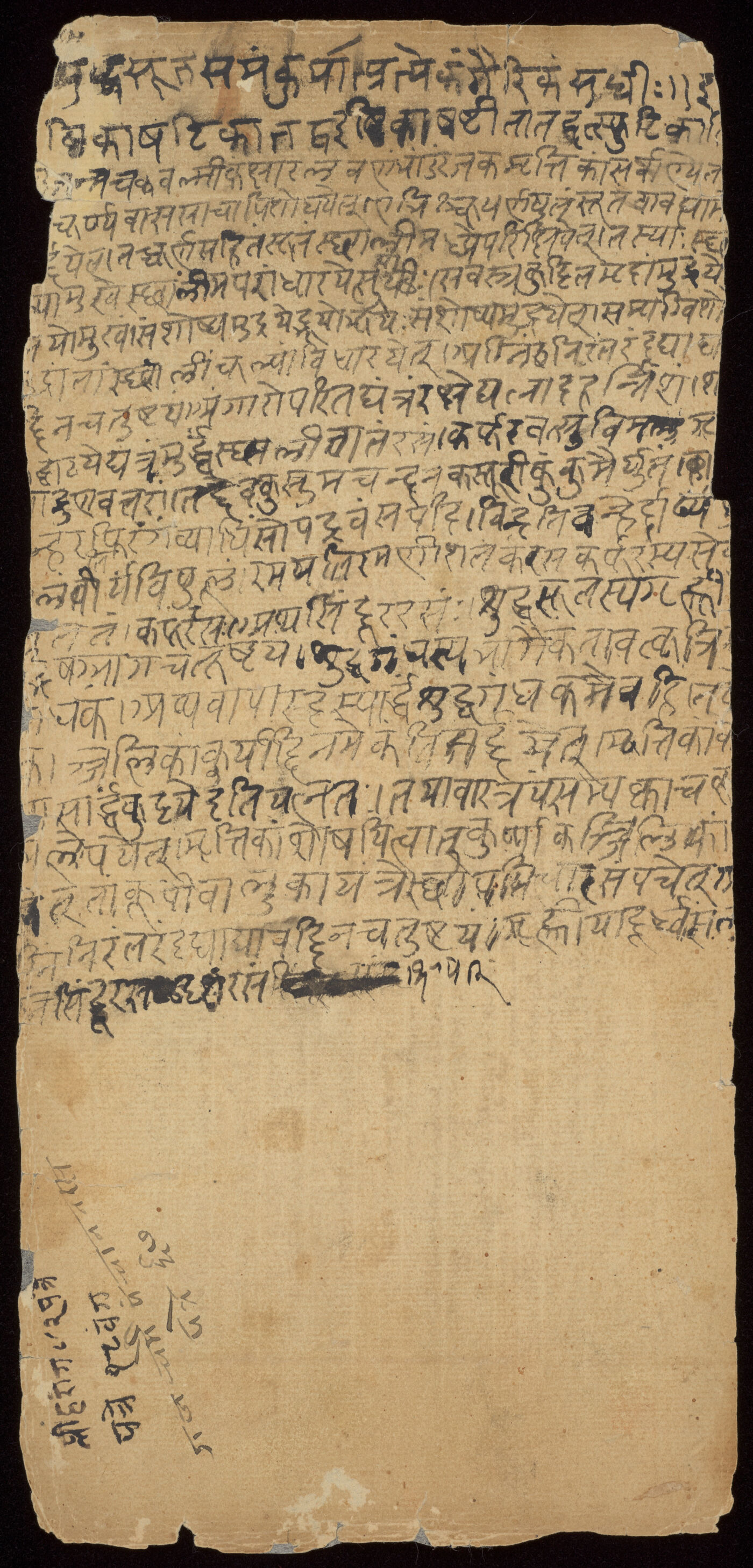 Rasaratnākara manuscript preview