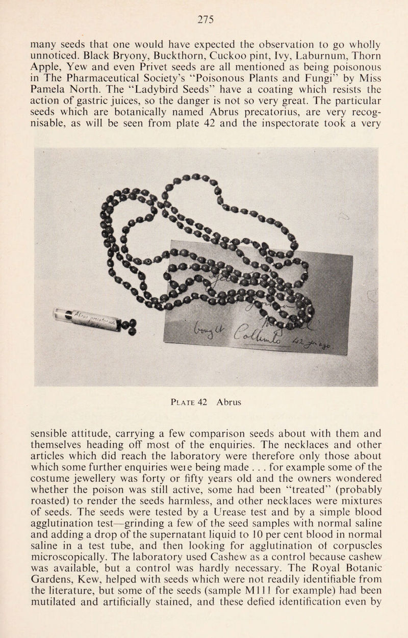 many seeds that one would have expected the observation to go wholly unnoticed. Black Bryony, Buckthorn, Cuckoo pint, Ivy, Laburnum, Thorn Apple, Yew and even Privet seeds are all mentioned as being poisonous in The Pharmaceutical Society’s “Poisonous Plants and Fungi’’ by Miss Pamela North. The “Ladybird Seeds” have a coating which resists the action of gastric juices, so the danger is not so very great. The particular seeds which are botanically named Abrus precatorius, are very recog¬ nisable, as will be seen from plate 42 and the inspectorate took a very Plate 42 Abrus sensible attitude, carrying a few comparison seeds about with them and themselves heading off most of the enquiries. The necklaces and other articles which did reach the laboratory were therefore only those about which some further enquiries weie being made . . . for example some of the costume jewellery was forty or fifty years old and the owners wondered whether the poison was still active, some had been “treated” (probably roasted) to render the seeds harmless, and other necklaces were mixtures of seeds. The seeds were tested by a Urease test and by a simple blood agglutination test—grinding a few of the seed samples with normal saline and adding a drop of the supernatant liquid to 10 per cent blood in normal saline in a test tube, and then looking for agglutination ot corpuscles microscopically. The laboratory used Cashew as a control because cashew was available, but a control was hardly necessary. The Royal Botanic Gardens, Kew, helped with seeds which were not readily identifiable from the literature, but some of the seeds (sample Mill for example) had been mutilated and artificially stained, and these defied identification even by