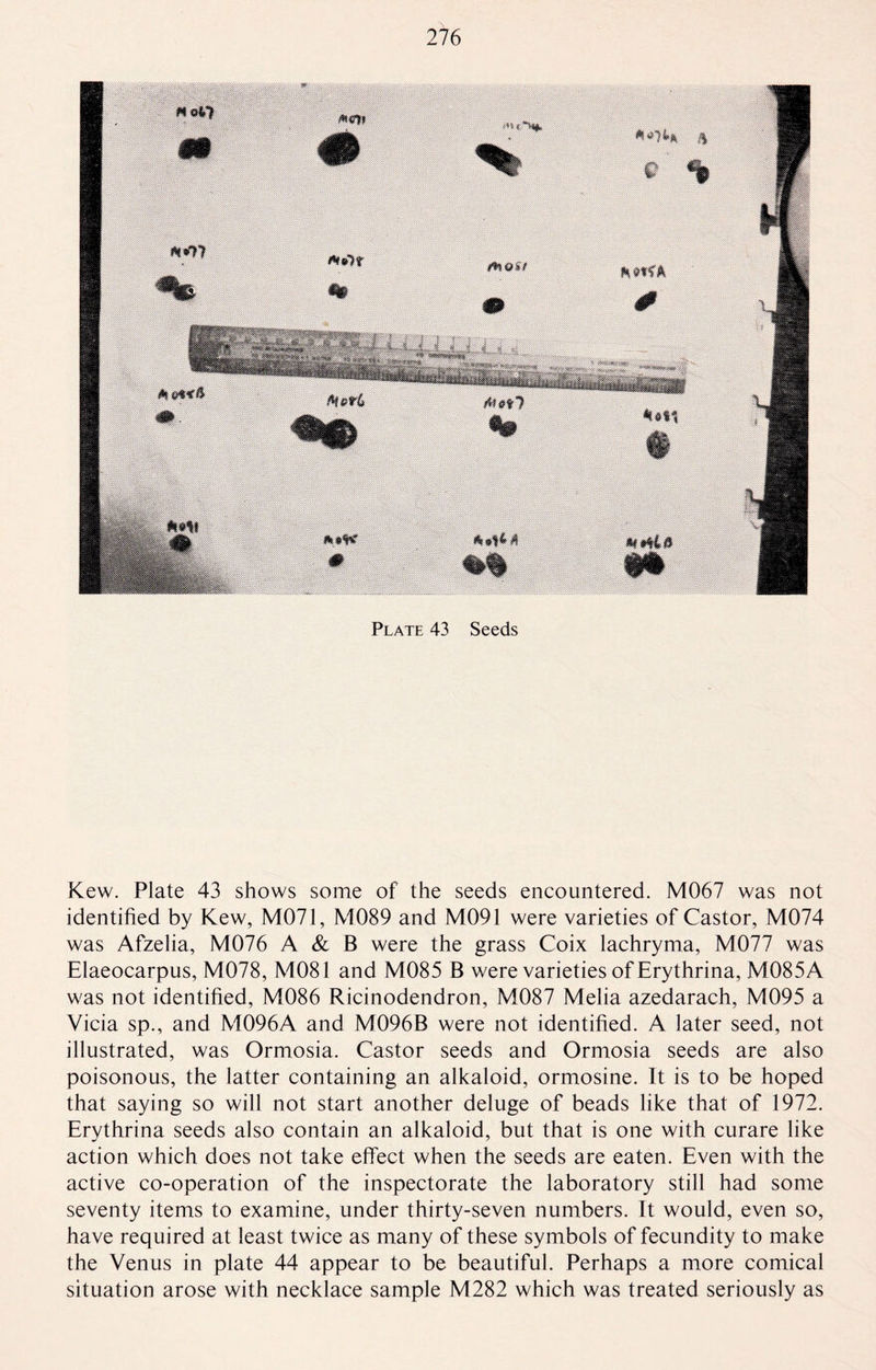 Plate 43 Seeds Kew. Plate 43 shows some of the seeds encountered. M067 was not identified by Kew, M071, M089 and M091 were varieties of Castor, M074 was Afzelia, M076 A & B were the grass Coix lachryma, M077 was Elaeocarpus, M078, M081 and M085 B were varieties of Erythrina, M085A was not identified, M086 Ricinodendron, M087 Melia azedarach, M095 a Vicia sp., and M096A and M096B were not identified. A later seed, not illustrated, was Ormosia. Castor seeds and Ormosia seeds are also poisonous, the latter containing an alkaloid, ormosine. It is to be hoped that saying so will not start another deluge of beads like that of 1972. Erythrina seeds also contain an alkaloid, but that is one with curare like action which does not take effect when the seeds are eaten. Even with the active co-operation of the inspectorate the laboratory still had some seventy items to examine, under thirty-seven numbers. It would, even so, have required at least twice as many of these symbols of fecundity to make the Venus in plate 44 appear to be beautiful. Perhaps a more comical situation arose with necklace sample M282 which was treated seriously as