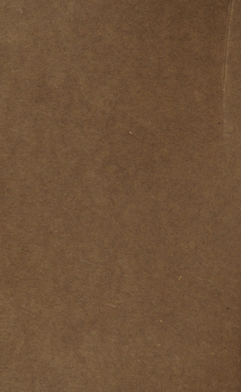 :&. ^ -v-v .•;,; U ■ Ig ■ -.: '■ . *,&. :;-<?< »■•/;/: •* ' ■■ - ' -''^W'.. ;■ ■ • ■■.. - ■ . ?v.-'. • z* •r.'' • :, ■, 8# ‘ -v\, -',. W%M: W* i- ?•: ■: ■ flr.fi: ' '■ i yr.h;*:-: •■ —- ' .}■ *•*••' —*&**» ~ «!«.•• ■ ••■' ■■ ■ mm ' . ... ■• ■ ■ ' ■ ■ • r'% ‘A r<; ■.: •'4w& $fef: - - . *r : • S5r»fv3; teKgg&tt ’v>v:’ XK8SM ■ %', ■-&&£& 3 ■ •■>:.'■ - ■ VI ' ., .•-•.“.V ,.y»i v lira v>t.i . . - ■.' -v.,- '••■.!: '■;' •.r'- .' V;*. / -—'C/ ;^::.v;. V; >r‘.v ■ w::s, ' A •■ •>, .-•. «J*5i -iy-Vj'.* ■ . ’■ i ' :■ -' .'v ■ r £ ^ A i'-' SS-je- < -v • ■•>. >