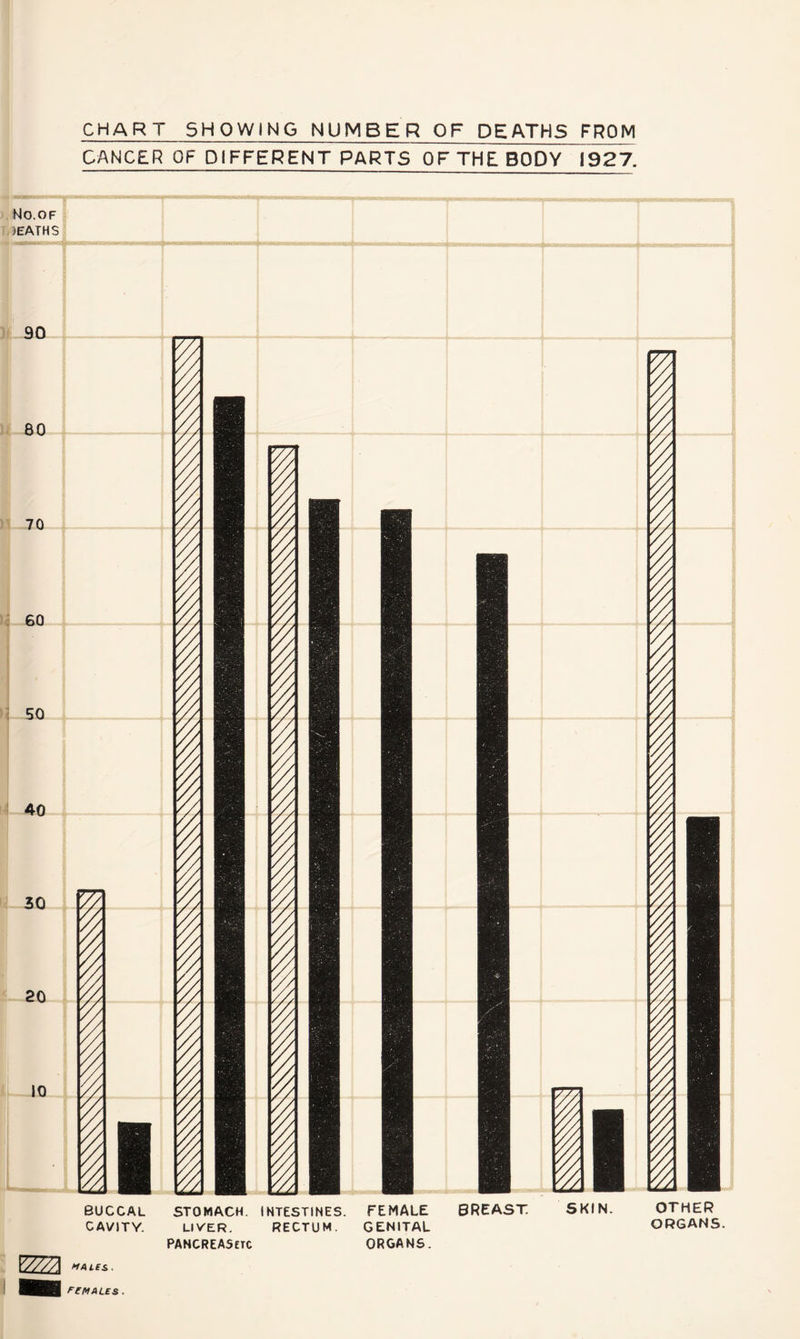 CHART SHOWING NUMBER OF DEATHS FROM CANCER OF DIFFERENT PARTS OF THE BODY 1927. No.of >EATHS buccal stomach. INTESTINES. FEMALE BREAST skin. CAVITY. LIVER. RECTUM. GENITAL PANCREASetc ORGANS. V///A MALES. ret*ales . OTHER ORGANS