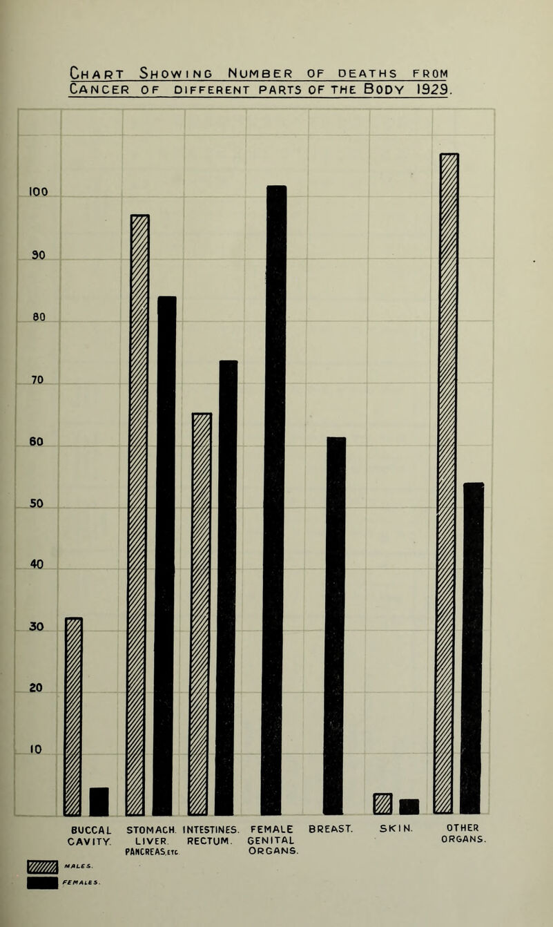 Chart Showing Number of deaths from Cancer of different parts of the Body 1929. BUCCAL STOMACH INTESTINES. FEMALE BREAST. SKIN. CAVITY. LIVER RECTUM GENITAL PANCREAS.etc ORGANS. W////A M/,LES OTHER ORGANS. FEMALES.