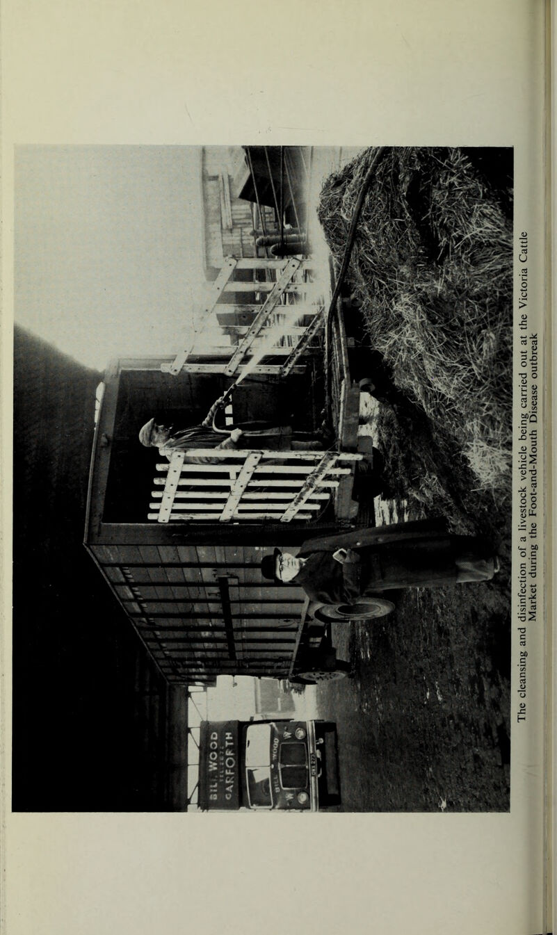 The cleansing and disinfection of a livestock vehicle being carried out at the Victoria Cattle Market during the Foot-and-Mouth Disease outbreak