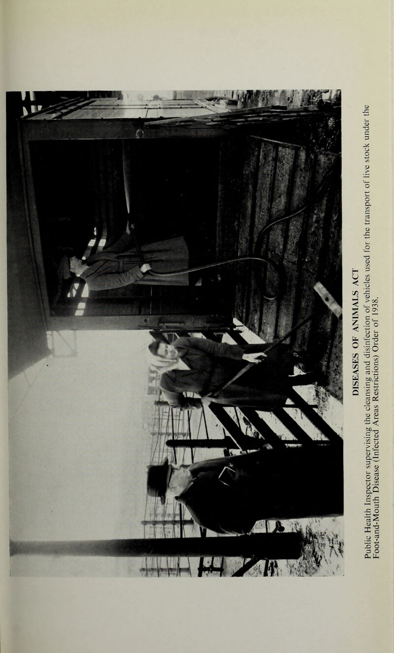 DISEASES OF ANIMALS ACT Public Health Inspector supervising the cleansing and disinfection of vehicles used for the transport of live stock under the Foot-and-Mouth Disease (Infected Areas Restrictions) Order of 1938.
