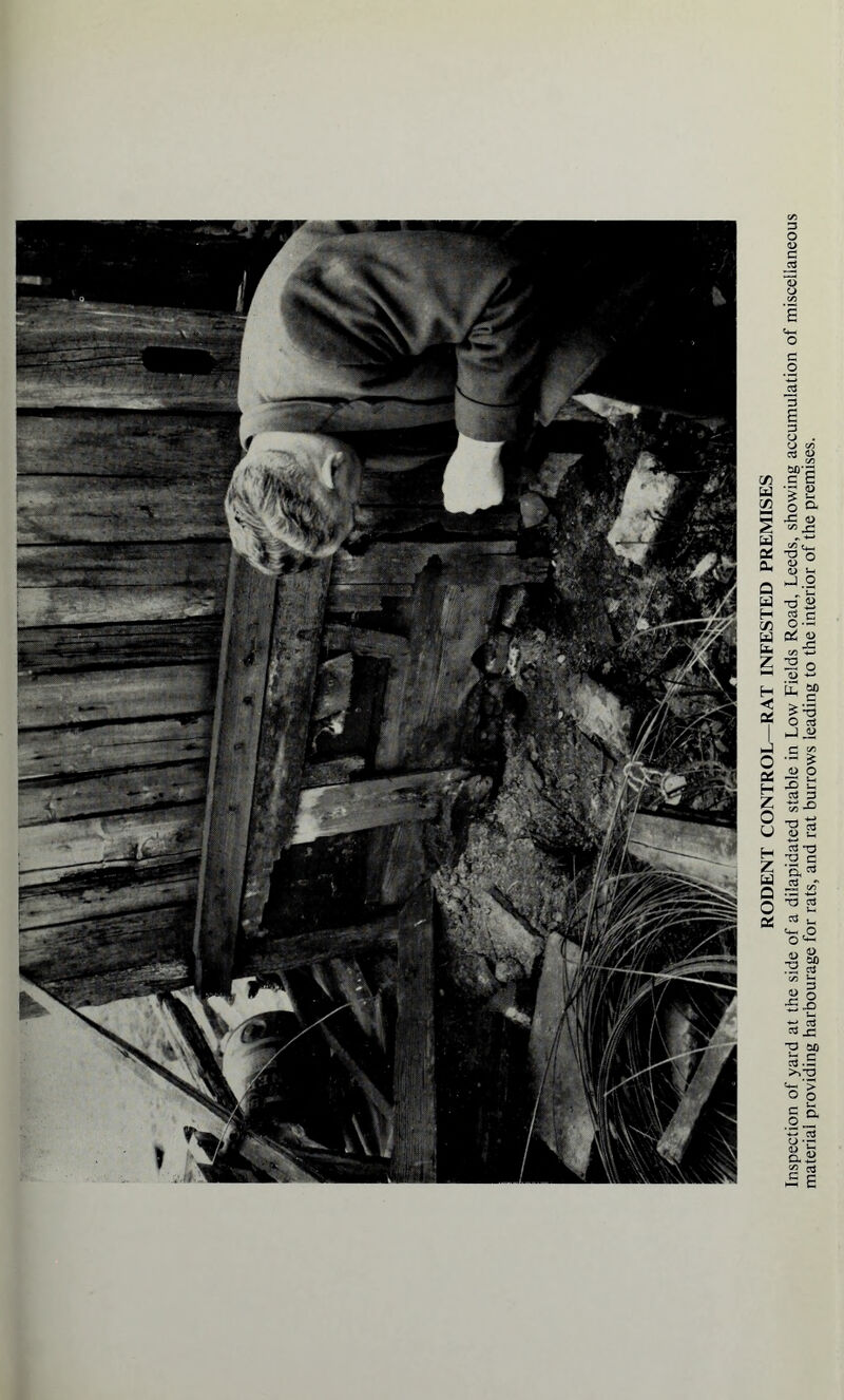 o .-is? C/3 ^ « r> ■a gd s c RODENT CONTROL—RAT INFESTED PREMISES