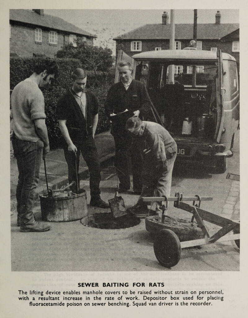 SEWER BAITING FOR RATS The lifting device enables manhole covers to be raised v^ithout strain on personnel, with a resultant increase in the rate of work. Depositor box used for placing fluoracetamide poison on sewer benching. Squad van driver is the recorder.