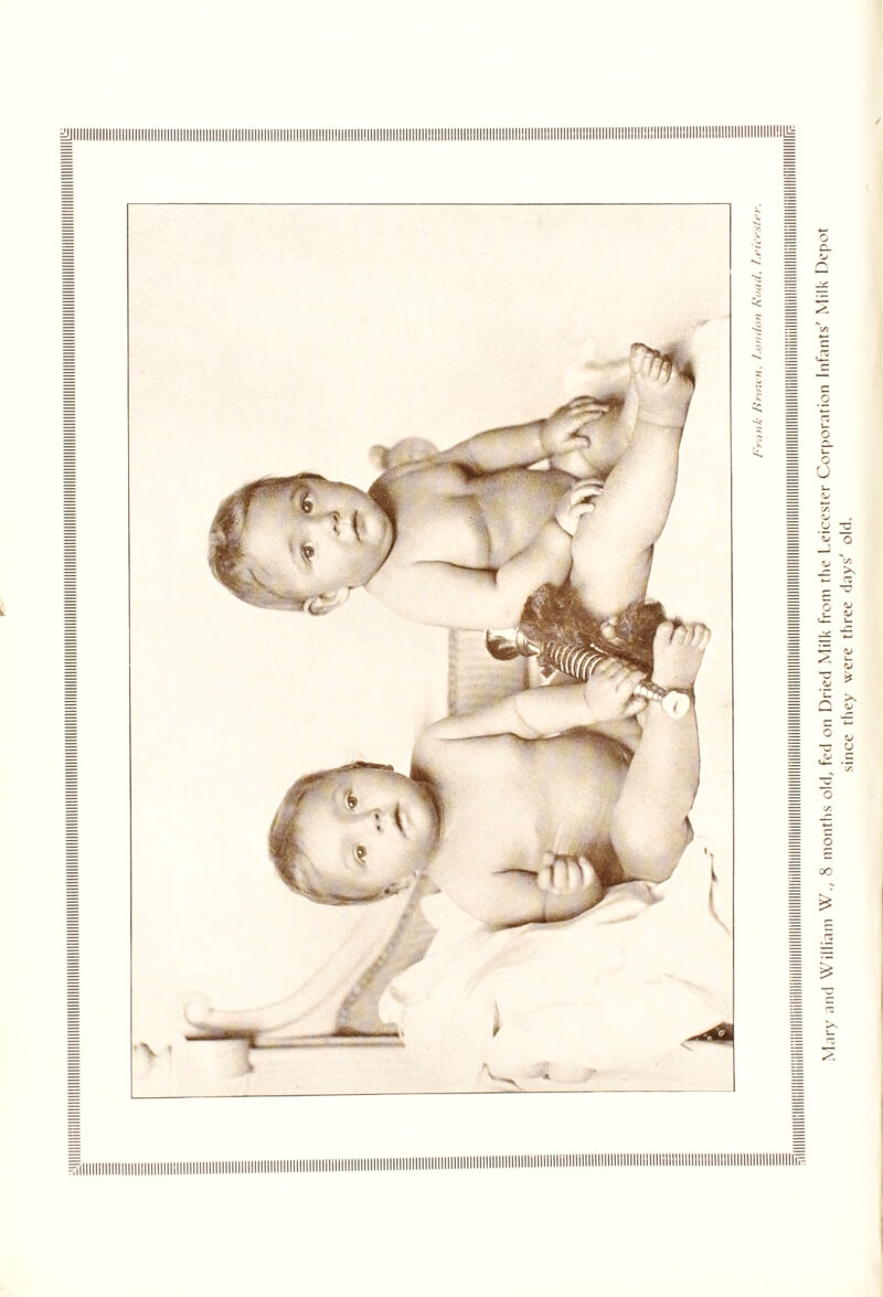 Mary and William W., 8 months old, fed on Dried Milk from the Leicester Corporation Infants' Milk Depot since they were three days' old.