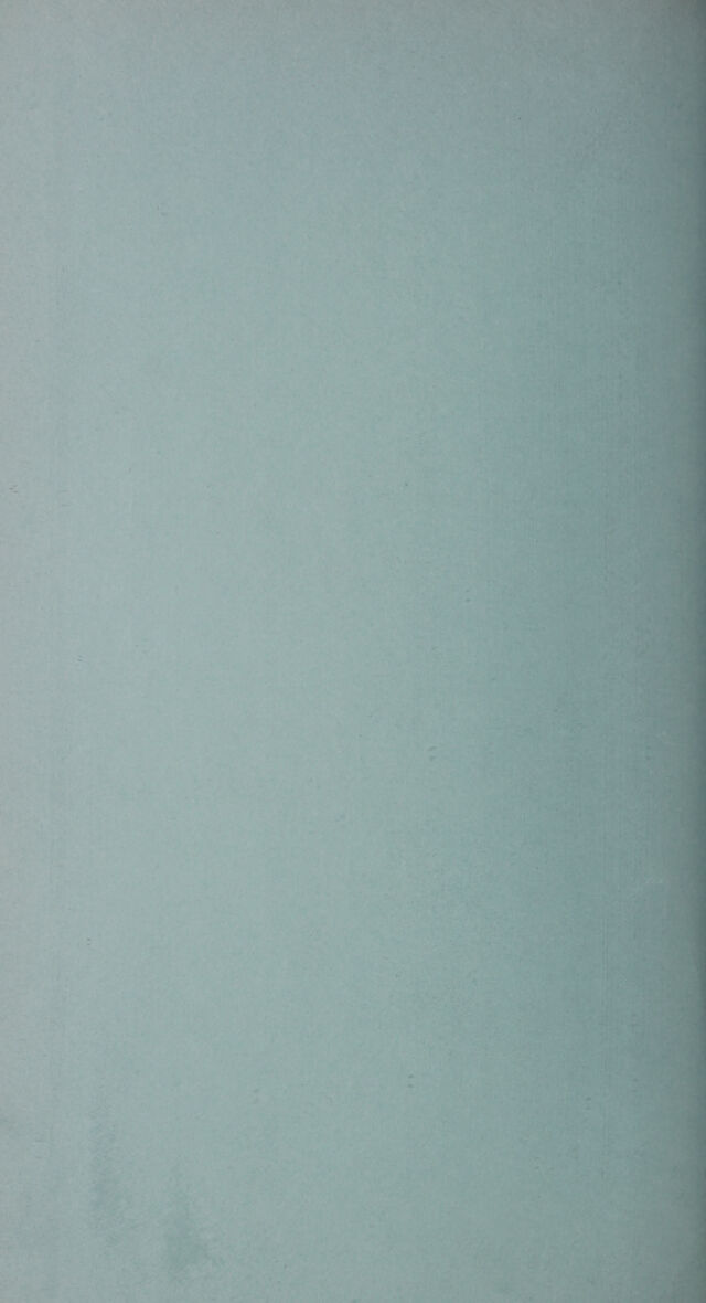 digitised image 2