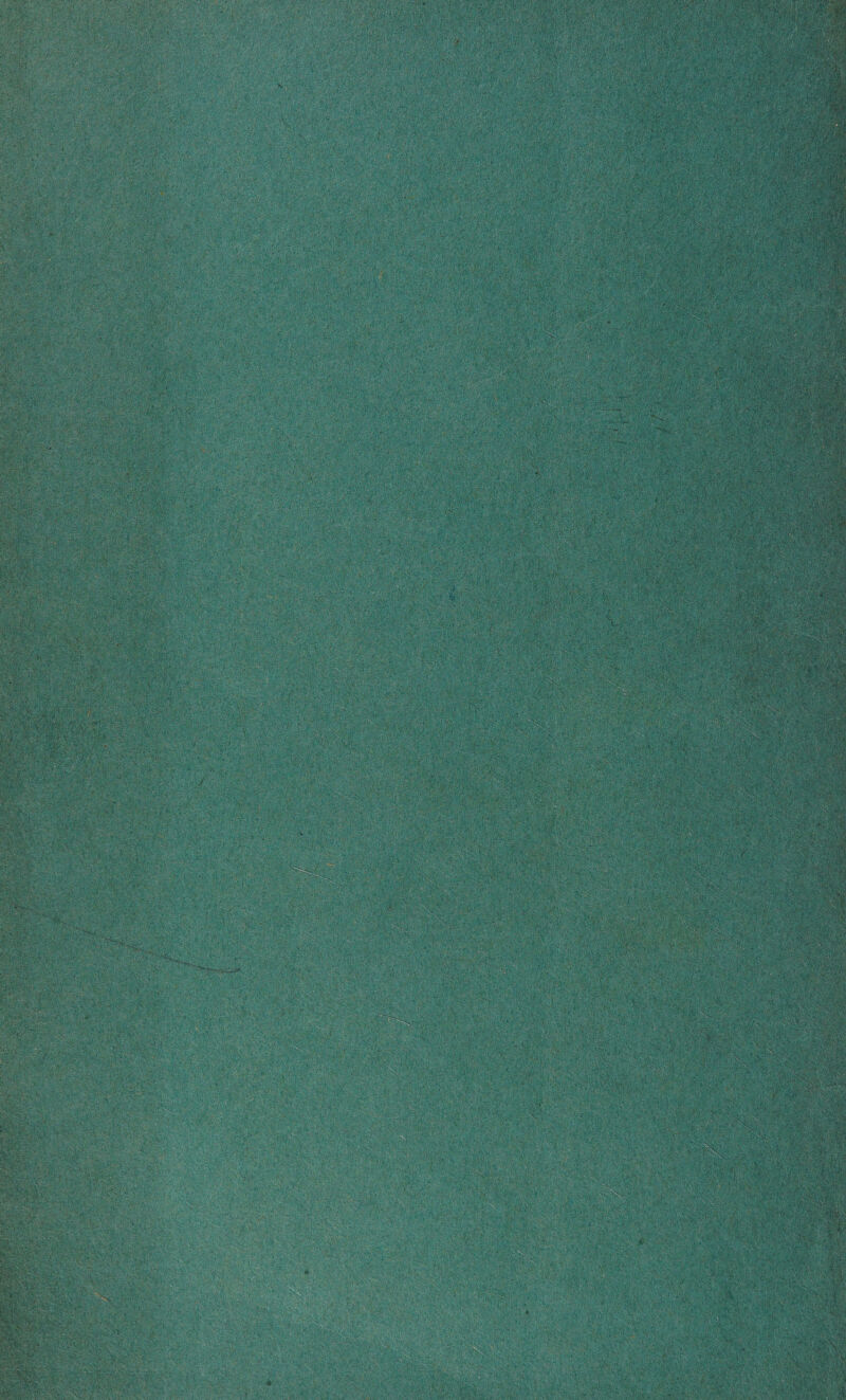 Wls i §,, > ■; ^v/vS® ill: l)''f, l*';- S’.'‘'p',,i; . ,V%'-,V : jiffe! gggmlSBX -I'*~> X ’ , 1 iis *>v V' *wm I ■i •;‘r P¥>d 111 '•‘’V> V •' ' f S^Ik® ;; >£i&s ... : - :'.: ' : ■■' '■'.■■ ■■■;. -J-V ■ ;. ' ■-: v.. •a«aK’i»3fcgg =?S . W'Ji-trfti iwmwi :M ;;V' £:* ■• , ■^v*1'“iai:'#- $ ) y;.>;,.*;%$? if'-? ■.v • , .' ... jfgjj ■ . 1 - v> , *; ° Ci • . ■ ..3ft!„ . uMK. > <y £1 i■■ >?'•*,■ v'' }:• y&* : >$&• * f: .^1% Jr'J.t* e \ , A' /<, f • \/ / ■ > •' Hi;: :;.:.*; r.;'-.'.. 'jcakW-. ■ ■■■? >'■■'.;■! :-.r-' .>■. . v;1 a; fj^as ? 1 *. .. ^ * . < ‘ » ■■ ?(; m, V • -T.4^^ . v v /^1 -/'f'\- . .. ,i^lsS|§| ' S ' . . * -V' ■ ■ • . •' .■ --'. • V '■ RliW: . • - • v-;:;>' ■—r . , . ■ Whs^h ■ ■ ; ;■ H % ■;<,. v.';N H IP Ml i > ' . ■ 'v:\ it fiSiMiiil . 's'-: \ . -f .iV'S4 ?sr>- rj(mwjt KP?^P'<^s •*; V 'v v . 1 ' vS’ ' ' .. . ' ■-... w&ft •■*“***’• , — ■■■ I ■■■■—■ ■Maw™ * *; ■ ' -,.s ■'...■'. /■■ ;--s;si. ...... ■- . .. .■-.. ■ : .:' ■ ■'. .-•MJ ;-0.‘Sr .:’ '■'■ V,.X.*V:. ■ ' i'. vV ' ■ ' . • , '■•' ■' . . .