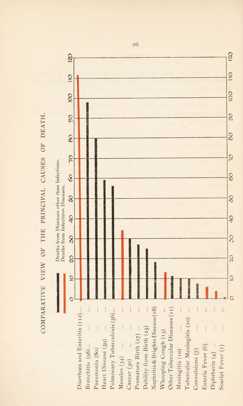 COMPARATIVE VIEW OF THE PRINCIPAL CAUSES OF DEATH.