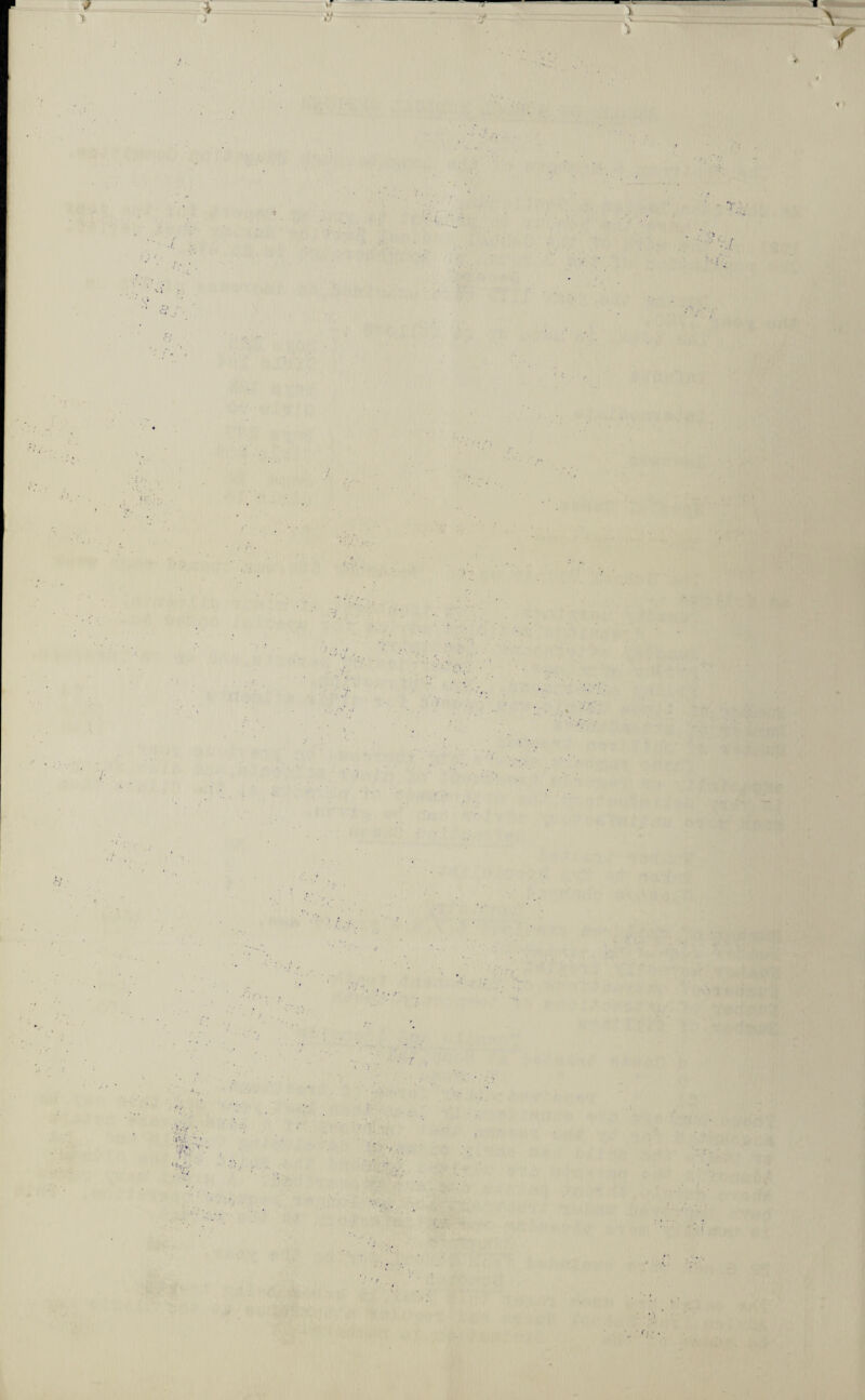 'll /• . \T — 7 'T -