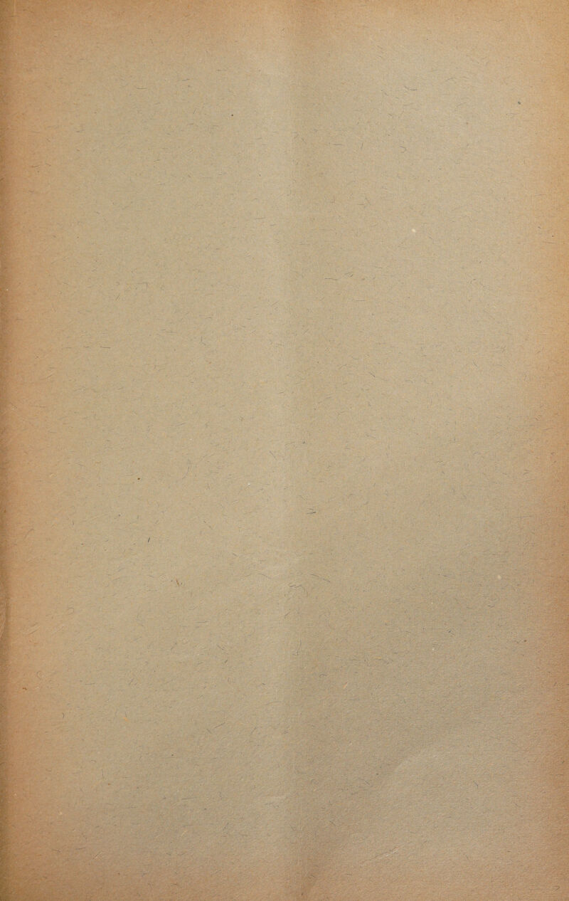 . \ V t ■ ' V ■ c'. V-: o ' •' • \ ■ - X,.. : '  : -■/ :> ■ ■ ■■ :. ' • - \ J ' A , ■ ■ . i -.-;c ■■'■f.-ii-y. ', V>; -A: ,r ■yy't :'V\- - V ■; c y : ■ ' ; V- V . .  - V V- I ' ' ' _ , ' ... I.. ?J? r'^-L . . B .. ;v'v-v^.v'