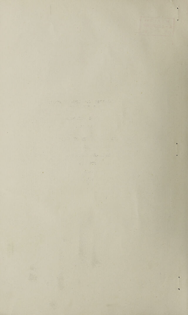 digitised image 2