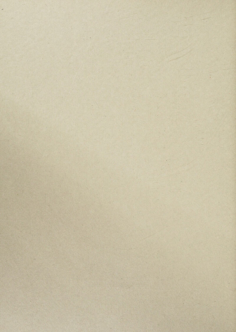 , (: ■ . ■ ■ . ,l , , .. ' ■ ■r • . ■ . .1/ ■ ■ \ . ■ ; * ' \ *'■; / 'u;. ;\:h\ S • 'I v -• T' •; V ' * • /: . , ‘ A ' ! ... . - • ' ... ' , ' ' - ■