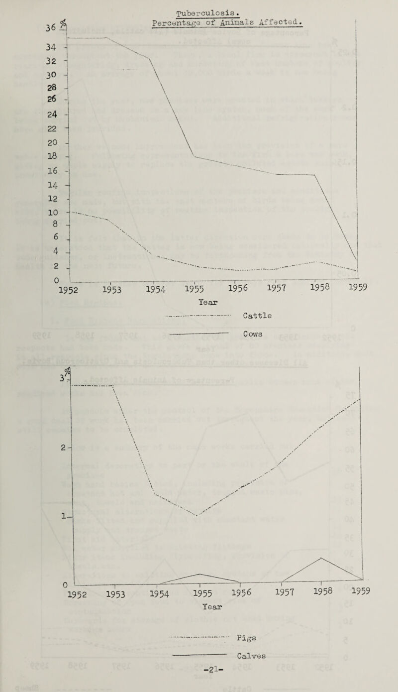 Tuberculosis. Percentage of Aninals Affected. Cattle Cows Pigs Calves -21-
