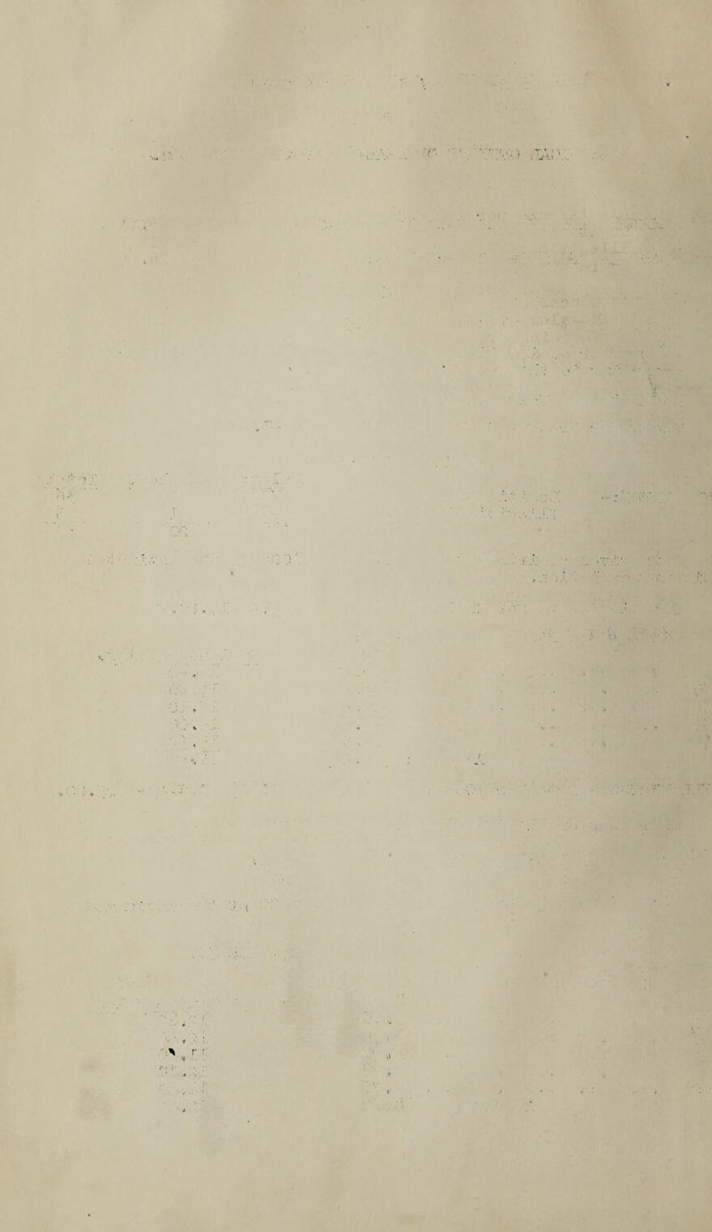 T * > ■ ;• •• £ ? • > * »'• • v t;\ A *