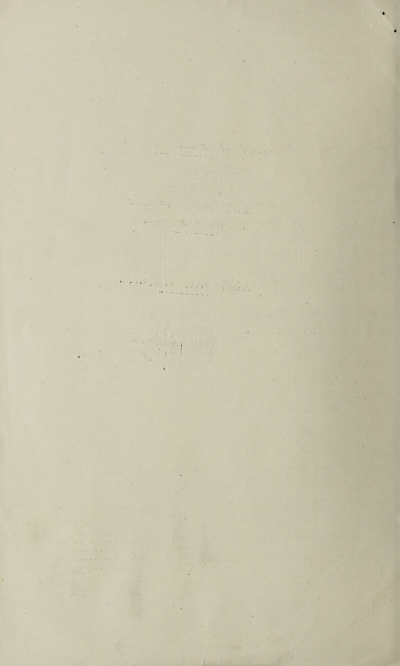 # / / ! I ✓ ' i i t* ™ i ( *