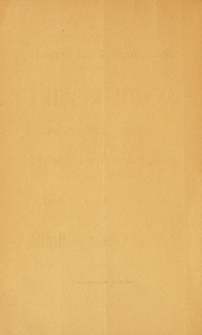 . . .. • • •  - ■ ■ x'vf ■ ' „ , ' v y / ; ' . ■ '> ■ ' ' ' V1'1 ' ■ ; !•, v V ! giff <• :T< f -..r ;■ ..i,.':.-' '■■ X 'V ' fy ¥f &; i : S V - : - ■ ua— - i, , >.■•■■■ ' ¥ • . . /■ ■ - . - ■, ■ •, ; ■ -y/, ;* ; ; , ' ■ -4;■ • - ; ■ ; f ' ■ . f - '■ , ‘ 5S>, ’ ‘ 1 ' *1 ' ■ ' • ' •••':: . ■ • : -,v. ; • . :  . . 'x- ■■; - v . . ■ •. - • • ■ ■ . -V ' . J ; ' ' ■ ■ • - ' . ■ ■  . . --s \ ■ - ' : -if - ~ / . ' ■ . i . ' --V-. ■ - M :& :-k • • :4r ¥,¥ f , ■ 1 v,, tv: y . ■ ■ \rn v;; if - / i . ; fi - f ¥. ;; ■ . ¥ v •; * • . . - • , . , (■ - , • ¥v 4 . V V . - . ::V X, ■ / . ■ . i  . • ¥ ' ■ ■ - : < ,  '• ! \ ■ ■ ; ■ ' ■ - . • 'fr .■■ ;> ; ■■■' ■ M :■ >:iffff i'r- ;■. io:; 1 - . -i I. f .V. v r- ' -V V ; r  /■ I '■ v ,. • . ! ■ I! -‘Jl . , •: ; ■' : ¥' ,f ! f f' .,,: , i ' ■ ; .v;• ' .• . - \ s ■ . v, V, . ik', i?-.v ■ V-r 'V'C-V \ • i !v U. t \