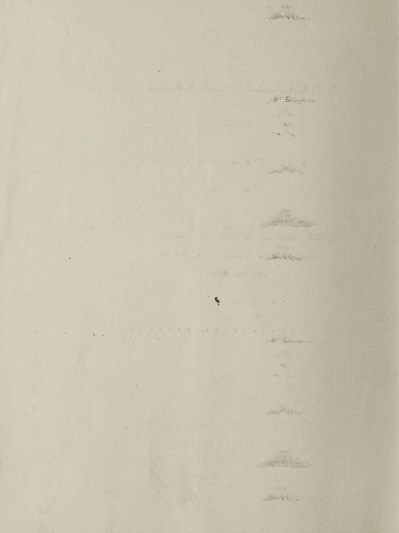 Zm:- .■ ■■■• . ' V - ■ . K' tiJ '-. ;- ■ -v , > •'% , ,