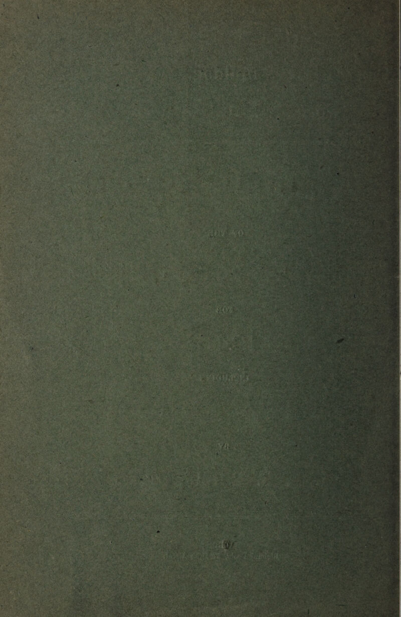 'v-v' ; i - mm MM r ~i',. yi - a Vv.- •'•■f' &*£ star? sp '-Pw' i 2Sw • L&• j .ri&te?.' '• v ' .. • • y'&i -''■ : .’,.• ..-V. ■' , ' v . ., ' ,V, i- °Vv. • > <; . •■ ■ ■ ■ ••«•••. •' j'.vV^vVjc-c-{&>•:•.5 •■ bS&?P§?eS? vavav ;y%-^!r i | ■ ‘V,. * ■ - \ '•* V'V‘ ■'/•■ . : '■ ■ V'':  -vr- >•-'■%■' Sjsgft • ■ / «. -v ■■• ir? Wmw%%£- rt&t<r-ii*> v5% ' y/ ’ -V ■ • ;:•'-V' i >.-]i; •'- •:. ' -• ’ dm **%*/*£} r^:p.‘ j~t a•' r' - .■.-•■■'i ' - . '?■■■ ' .yy- >^v! ' i :-V 5 :a ■ ■ • ■ ;• 'M ir:\ •••- •• -^'..V-KV V-’ ■pj ■■ ■ ■ • •. . ■...- ' WSv - * . . ft. f .:\f - •.*: . .• •>“ 'i V; r. ■- : - M • »'*■'•, * • .Wy, * f.‘s -.7 -jiV' 1 '< i .:••• : ■ v; ■ ■ • • • V ■'■• ■: r i-- ;: &}&&& ■ t . • , -• « »iMf> j •'i1 ‘' «».. . ■',*?. s'> I . 1‘ ' ' >■ ’*• ■ • ; ‘ , 1- • ■. '... ‘-r; - • ' • ■ y : • ■ V -^ -v, -•:v.vv;v . fji ■:■ __ . -V,- V..;-. ,■ ' ; l^y'- ■ A>a.;v :■• •, • . a . y >!' ; V-. ■; ; ■' v. •“ . •• , •••'.• •••.... a* . ■ ,V;,*s '1 •£ ‘ .-^v> , .,;•' ‘;a:' v-^ • 1 •■: .,■ -s.- ■. si m Wft a !,;a •rs ■ 'Vvii ';u» lt¥:. .. ■ -..'a v:v-■ ava '-a:.y'SySii ■ r- ; , v: ■-•;■■;■.•■- ^ :.;. r • - • •• - • v u V . ■ V > „ '* ‘1 ' '••'•?*? VK i ■ M - V' -. -'■*• ■ < '• • ■ y ‘ r - V ; t i >;■.. i'.1 ■ \' -V£’jri. j . ;; i . /‘1-' ■ ; ••::. a a ••. •<■-'- ;: f - V. ■ ■■..- » .• -i- •» .. -a. :.,;av ■ ' : tmm ‘Jmi S««; f. ’’' A'- .A'iv -fr:v • -e.,. | ■ - ■ - - .. ■ - 1'■> ” * ‘ ■ J-'i,. . • • ■ . ,j ' *7 .*> • ... '•vv;1-/,:| • r • -j ; ’C '■' ■'■ . /.' -; .'. '■■£;’■.'/••■ /:■ aV<’- ?'■ Y:'* ' ;vra v'v-;,. -.-• ■ - ■ •.. ■ v' ■- . - .. f ,.v‘i ■-■ “ •v- •. :■ v .;’ -.-• - ' •-,•.• '-£•••-:■;.•:  ■'... s*~:.t?. S J - - - .-a 'X ,? ‘■v • -. • .-.v- • • v-a-•• . • v- ■ v ' ' ;>£ ‘ Vv > '/ ‘V- A':. •0^'. - ' a * 1 ,v r. T‘i- hSh*sr. . v, , .• .••• . *■ ••• t& ■ >*• *5*‘■*• -vi'*\l-i • '« A . ■ ■ ■ V.. y-,i:; -.mm -.* ■ lv;;; V‘TvrSLVi.l^j^! i a .4 . i'v 5. - v- '-••.<>• y/ . . • •*. -* ‘*.> • : . *•; • • •:. ;• • ' ■ -— * • v * : . r'-y , ■- fe, £*V':£U’-. . .y.y;>y?.a •? ’• •'. ,}l •'•‘•V - 'fit- i :r - ' 7• - ' ' v.^v:V . f; • / *v> . v»*. . -!W. • . S- *• h,. i t./ • ^ • a, . ; j?r * • •va.V; v fr.Y , •:- •*• ' ;7 '! »Vr