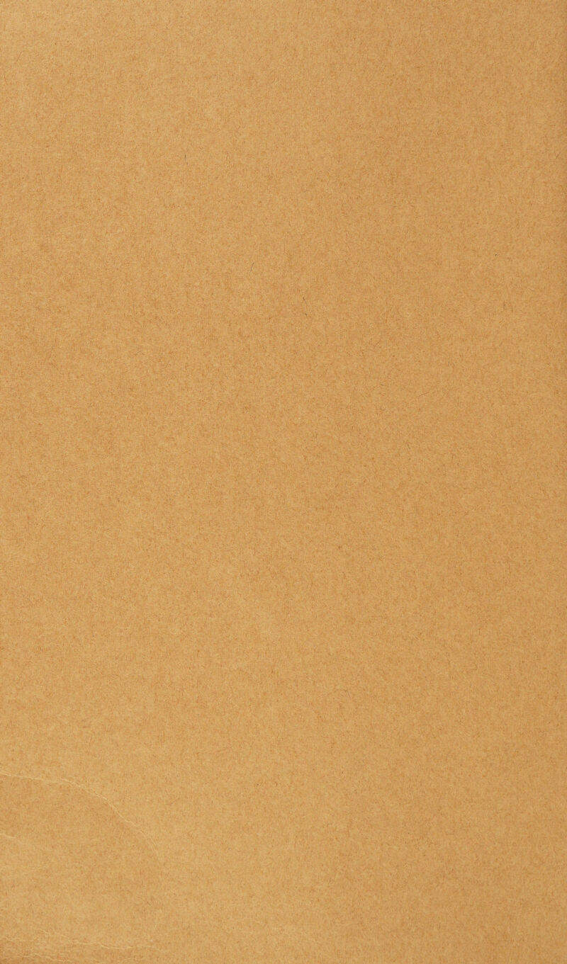 ' .;, . , • /  i-V< , ' vj4 .‘■■•K---*!>• ■ . $ . , / :■  • 1 ' : ■ ■■ ■ ’ • .... • , - . v ■ ■ < ,■>>,' ■■ ■ ■,• ... vv, ,V - ■ ' ■ ' . ■*.' ■ .:■ ■>■ ,r ,■ -A ■■,:.v -v ';v-\. •• ■ ' o .. . ■■ ;v\ • ' ' ' ' ' ■, ,. ft : ' > . • , . v' . • * * >-,, . . • ‘ 'V- ■ . • ' .% ;• ■ . i ' . • ;« . q ; ■■ ■ v ' ' . , ■ • ■