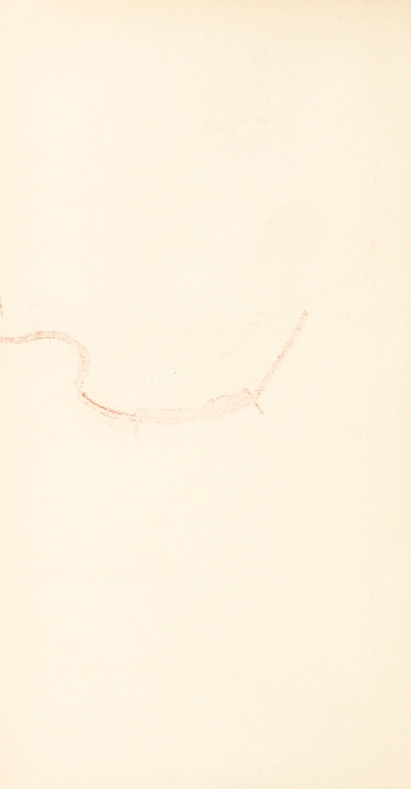 J* iv •r ' .V . a: * * *• >/'■• \