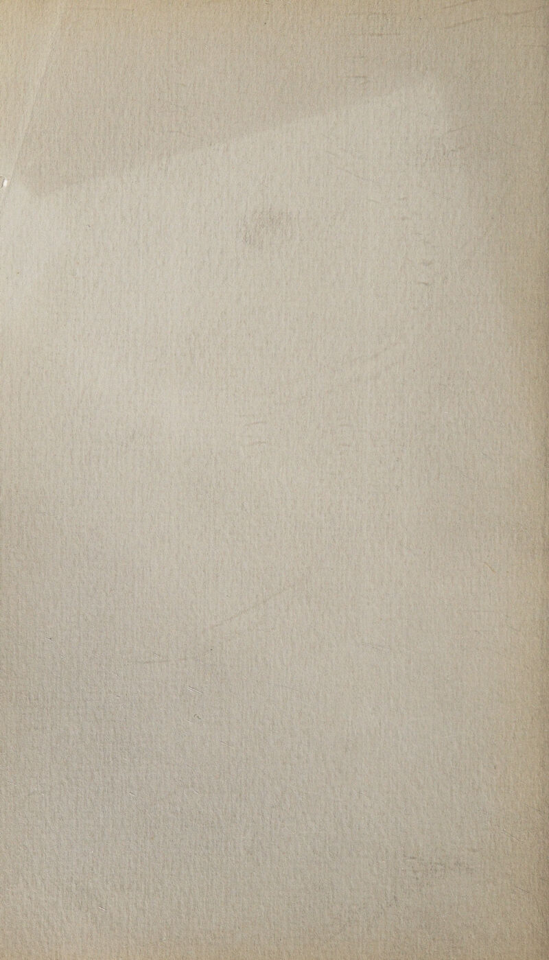 ■Me ' illlM SJvSt -Hi* liii U ■Bpli «Si '**•- if* t •iSiRMffleffl wmmm