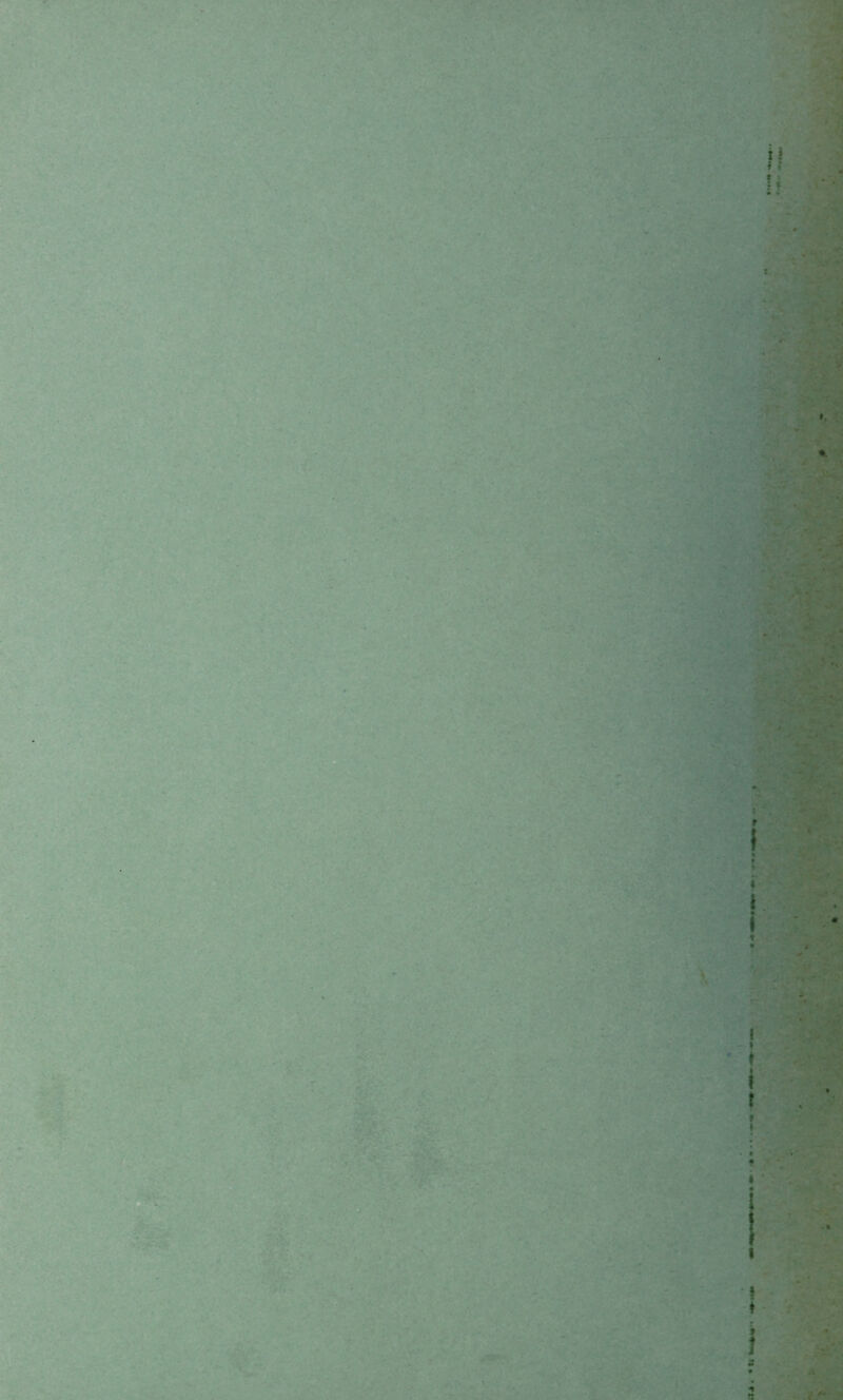 f r « ' : % . •s i * I /•