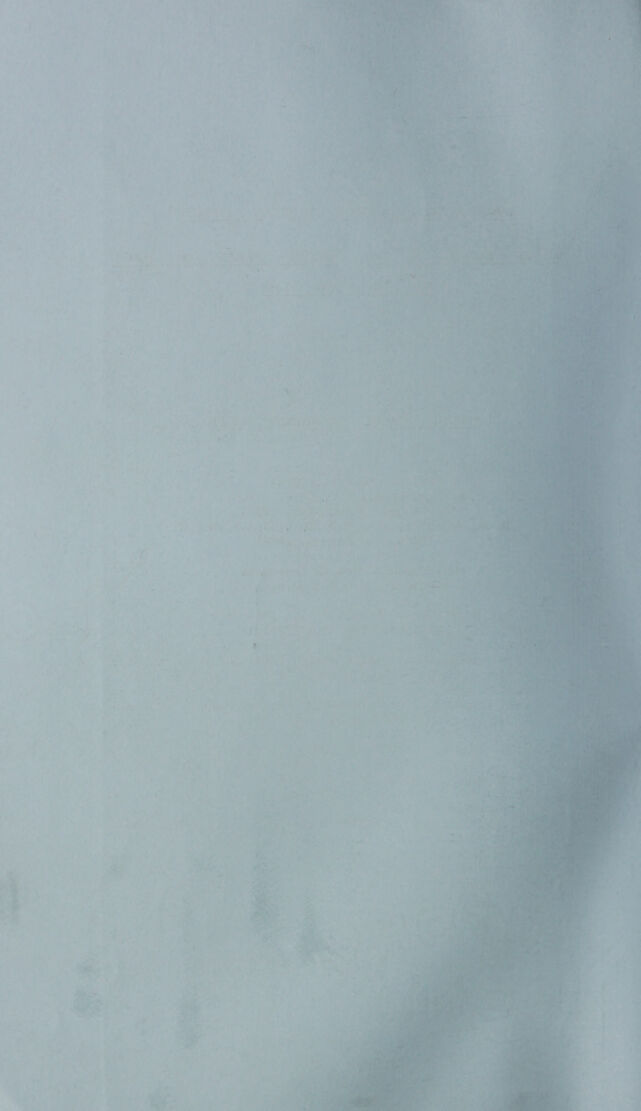 digitised image 2